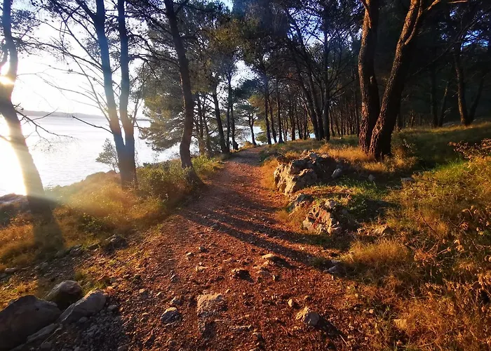 Vacation Between The Waters *