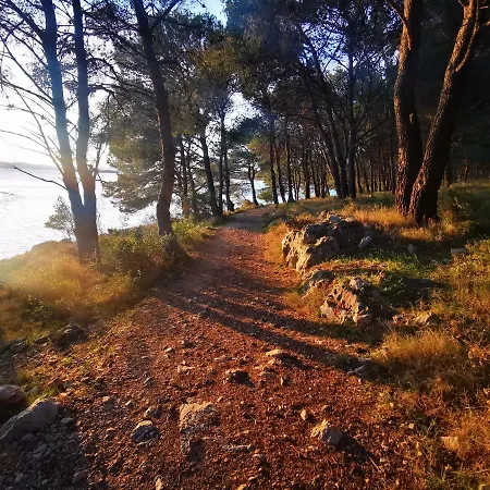 Vacation Between The Waters *